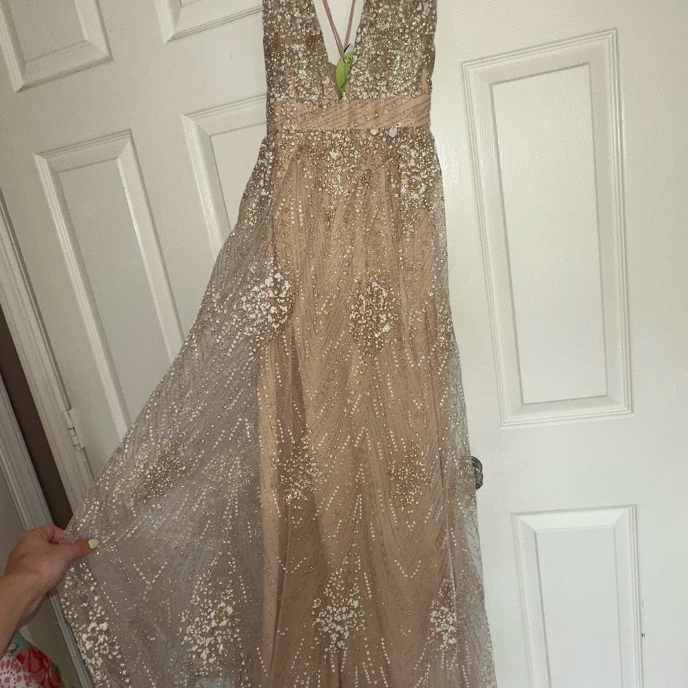 Windsor Beige Maxi Dress